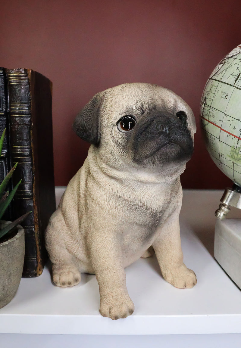 Ebros Lifelike Sitting Pug Dog Statue 6" Tall Pet Pal Figurine with Glass Eyes