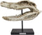 Ebros Faux Taxidermy Alligator Fossil Skull Baring Jaws and Teeth Statue 14.5"L