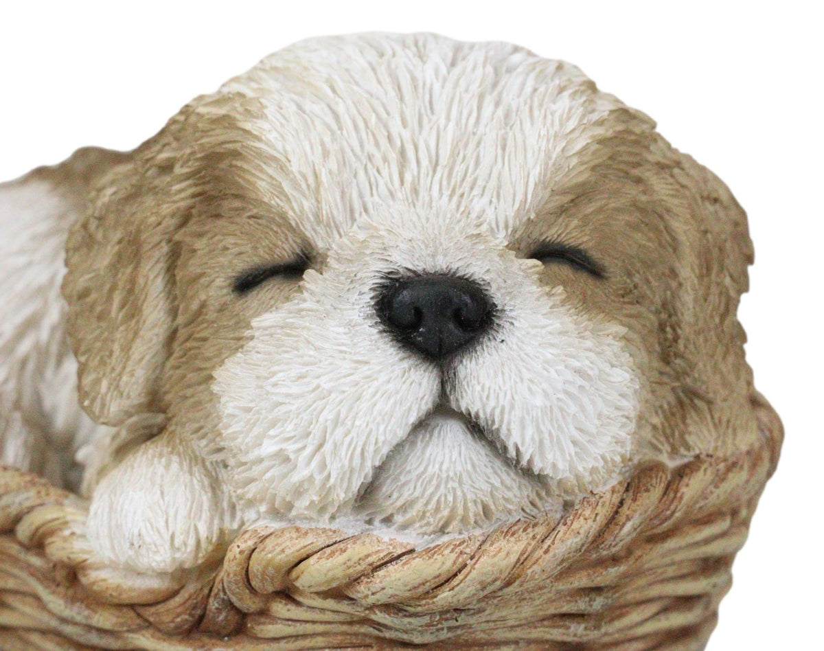 Ebros Realistic Life Like Shih Tzu Sleeping In Wicker Basket Statue Puppy Dog Figurine