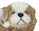 Ebros Realistic Life Like Shih Tzu Sleeping In Wicker Basket Statue Puppy Dog Figurine