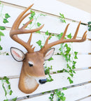 12 Point Buck Trophy Taxidermy Wall Decor Deer Head W/ Antlers Sculpture Plaque