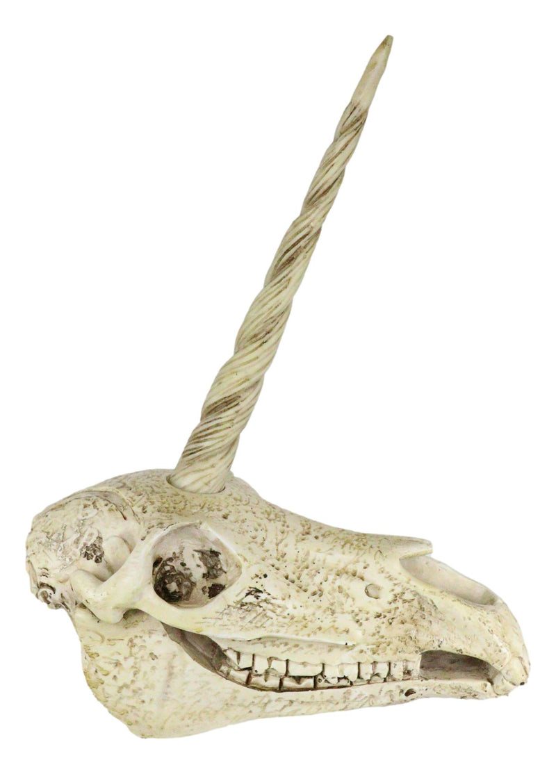 Ebros Fossil Unicorn Skull Rare Mythical Phantom Creature Skeleton Figurine