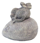 Pet Memorial My Love Sleeping Angle Dog Foot Print Rock Urn Bottom