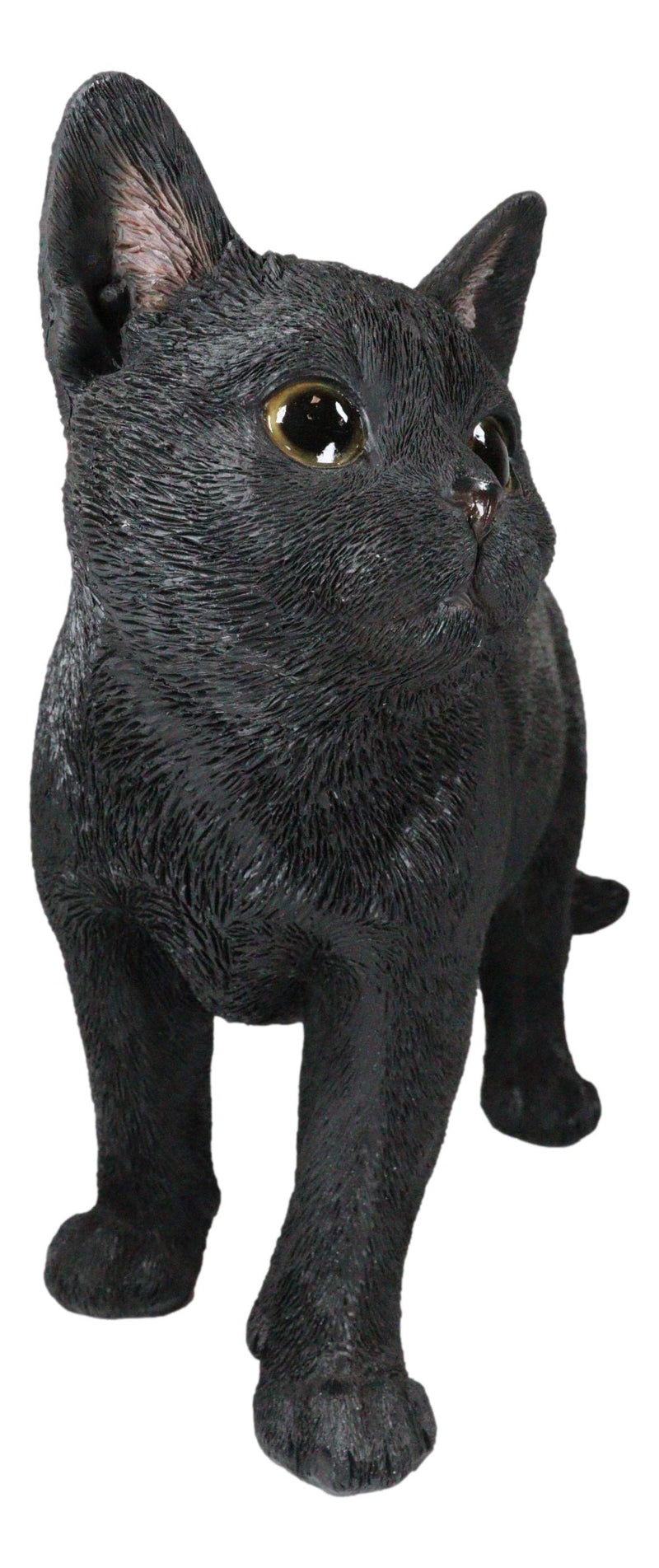 Large Lifelike Mystical Standing Black Cat Kitten Statue With Glass Eyes15"L