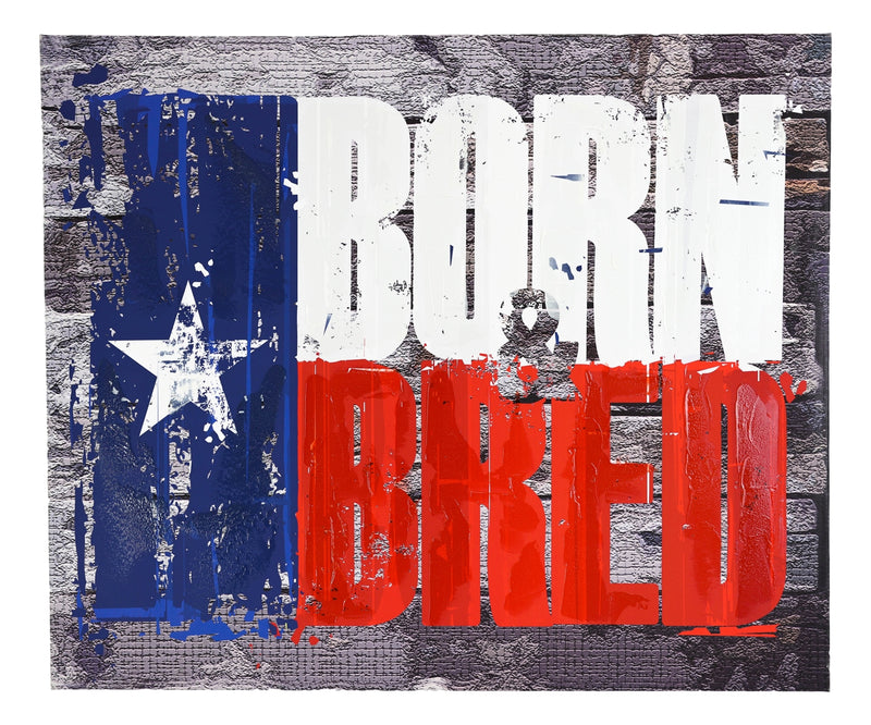 Rustic Western Born And Bred Texas Flag Wood Frame Canvas Wall Art 19" X 23"