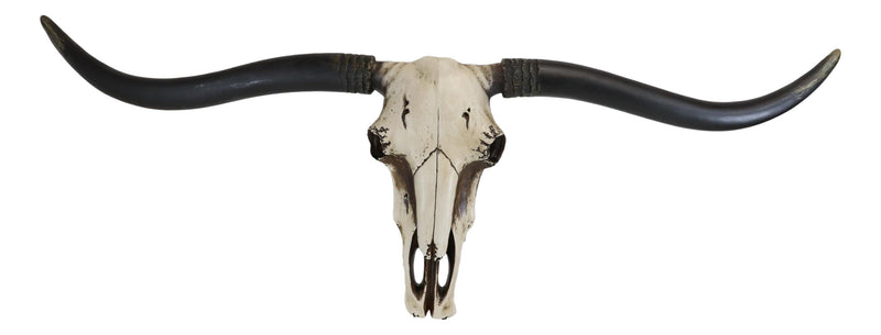 Large 36"L Rustic Western Longhorn Steer Cow Skull Wall Head Decor Plaque