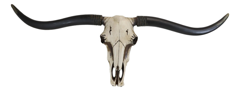 Large 36"L Rustic Western Longhorn Steer Cow Skull Wall Head Decor Pla ...