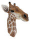 Ebros Safari Giraffe Head Trophy Taxidermy Wall Decor Sculpture Hanging Plaque