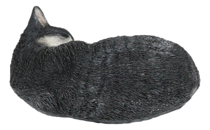 Realistic Sleeping Tuxedo Black and White Cat 10" Feline Pet Pal Kitten Figurine