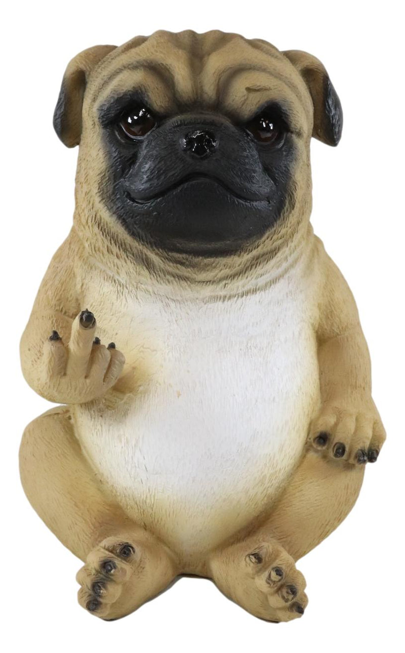 Feisty pets pug shop