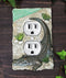 Pack of 2 Wildlife Bayou Swamp Alligator Double Receptacle Wall Outlet Plate