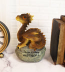 Ebros 'Home is Where My Dragon is' Baby Dragon on Rock Resin Figurine 7.5" H