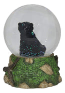 Ebros Rustic Woodlands American Sitting Ursus Black Bear Glitter Water Globe Decor