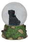 Ebros Rustic Woodlands American Sitting Ursus Black Bear Glitter Water Globe Decor