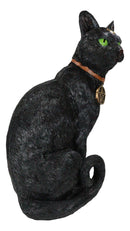 Wicca Witchcraft Green Eyed Moon Black Cat With Pentagram Necklace Figurine