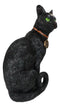 Wicca Witchcraft Green Eyed Moon Black Cat With Pentagram Necklace Figurine