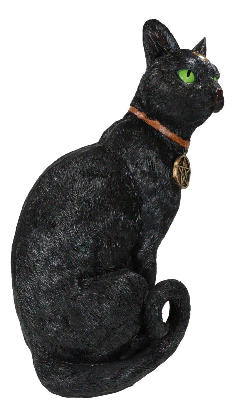 Wicca Witchcraft Green Eyed Moon Black Cat With Pentagram