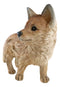 Ebros Realistic Faux Driftwood Finish Snooping Baby Fox Cub Resin Statue 10.5" L