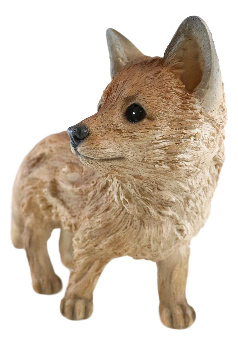 Ebros Realistic Faux Driftwood Finish Snooping Baby Fox Cub Resin Statue 10.5" L