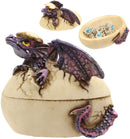 Twilight Dragon Hatchling Breaking Out Of Egg Shell Figurine Jewelry Box Decor