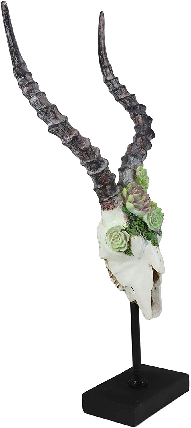 Ebros Western Vintage Aged Faux Taxidermy Greater Kudu Antelope Animal Totem Skull Head with Painted Flowering Succulents On Museum Gallery Mount Decor 3D Statue Replica Skulls Plaque Sculpture