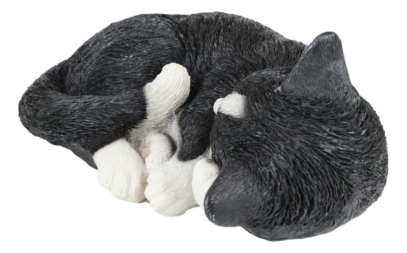 Realistic Sleeping Tuxedo Black and White Cat 10" Feline Pet Pal Kitten Figurine