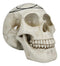 Gothic Sacred Geometry Seed Of Life Earth Creation Cosmic Energy Skull Figurine