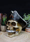 Pirate Captain Hook Marauder Skull With Golden Earring Statue Skeleton Decor