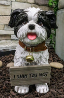 Ebros- Small But Sassy - Adorable Black & White Shih Tzu Puppy Dog Sitting Figure with Reversible Welcome Sign Home Accent Patio Sculpture Garden Décor, 11-inch