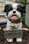 Ebros- Small But Sassy - Adorable Black & White Shih Tzu Puppy Dog Sitting Figure with Reversible Welcome Sign Home Accent Patio Sculpture Garden Décor, 11-inch