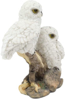 Ebros Mystical Two White Snowy Baby Owlets Perching On Tree Branch Statue 7"Wide