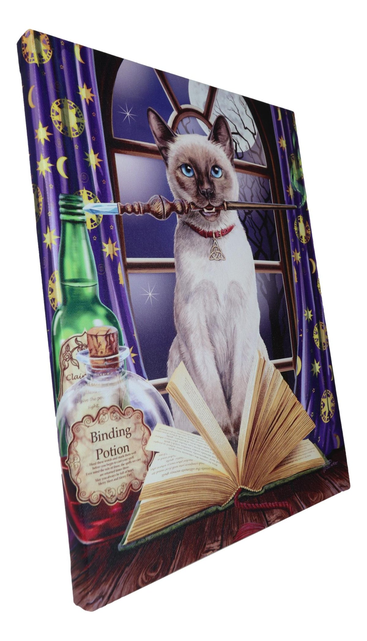 Witch Hocus Pocus Magic Wand Cat With Spellbook Wood Framed Canvas Wall Decor - Ebros Gift