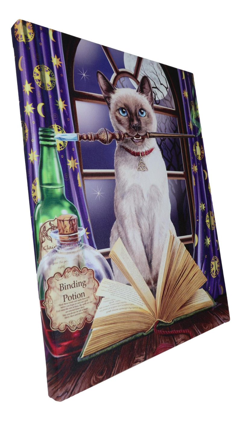Witch Hocus Pocus Magic Wand Cat With Spellbook Wood Framed Canvas Wall Decor