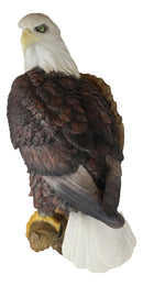 Large Mountain Grand Bald Eagle Perching On Tree Branch Wall Decor Plaque 17.5"H