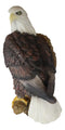 Large Mountain Grand Bald Eagle Perching On Tree Branch Wall Decor Plaque 17.5"H