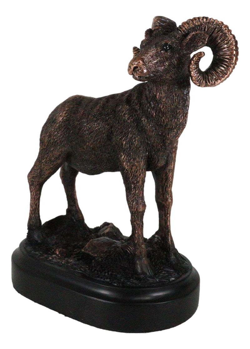 Wildlife Animal Taxidermy Bighorn Sheep Ram On Grassland Figurine With Base