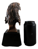 Aerial Surveyor American Bald Eagle Bust Bronze Electroplated Resin Figurine