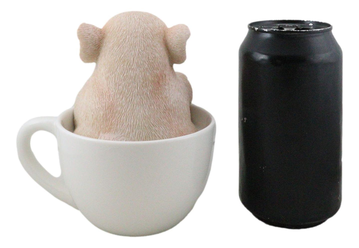 Ebros Adorable Teacup Pig 5.25"H Realistic Animal Collectible Statue with Glass Eyes - Ebros Gift