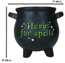 Green Thumb Witch Gardening Black Herbs For Spells Cauldron Planter Pot 7.5"D