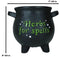 Green Thumb Witch Gardening Black Herbs For Spells Cauldron Planter Pot 7.5"D