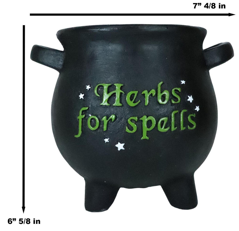 Green Thumb Witch Gardening Black Herbs For Spells Cauldron Planter Pot 7.5"D