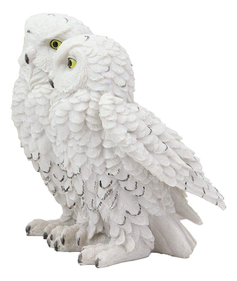 Ebros Mystical Two Snow White Owls Couple Statue 7.25"Tall Whimsical Figurine