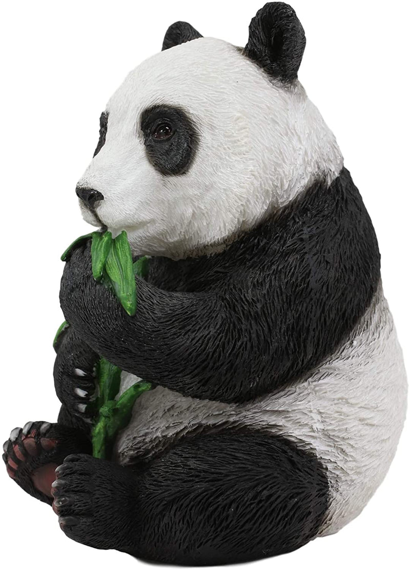 Ebros China Giant Panda Bear Cub Baby Eating Bamboo Statue 6.5" H Figurine