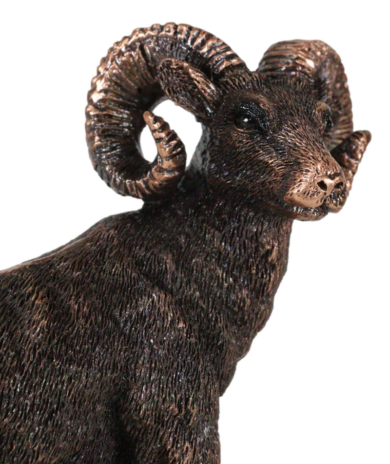 Wildlife Animal Taxidermy Bighorn Sheep Ram On Grassland Figurine With Base