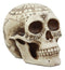 Ebros Solar Astrology Celestial Skull Statue Cartography Skull Cranium Figurine