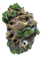 Ebros Celtic Greenman Wall Mounted Bottle Opener 6"H Home Decor