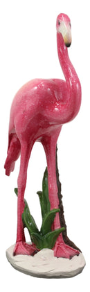 Ebros Tropical Rainforest Paradise Pink Flamingo Bird Decorative Statue 8"H