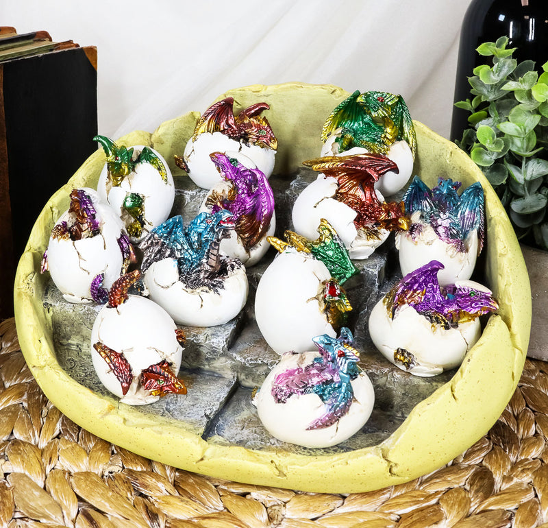Ebros Set of 12 Wyrmling Dragons in Eggs Figurine Miniatures with Dragon Egg Display Set Colorful Fantasy Egg Hatchling Figurines Set of 12 Dungeons and Medieval Alchemy Fantasy Dragon Collectibles
