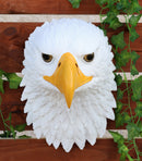 Large 16"H Majestic Bald Eagle Wall Decor Patriotic American Eagle Wall Plaque