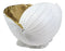 Ebros 10" L Golden Nautilus Mollusc Sea Shell Jewelry Dish Bowl Decor Statue
